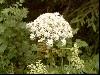 2003_0308_082155AA.jpg